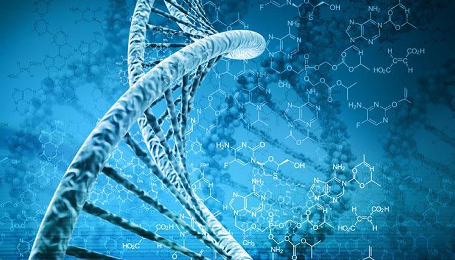 Κατέγραψαν το ιστορικό του DNA των ανθρώπινων κυττάρων! - Φωτογραφία 1
