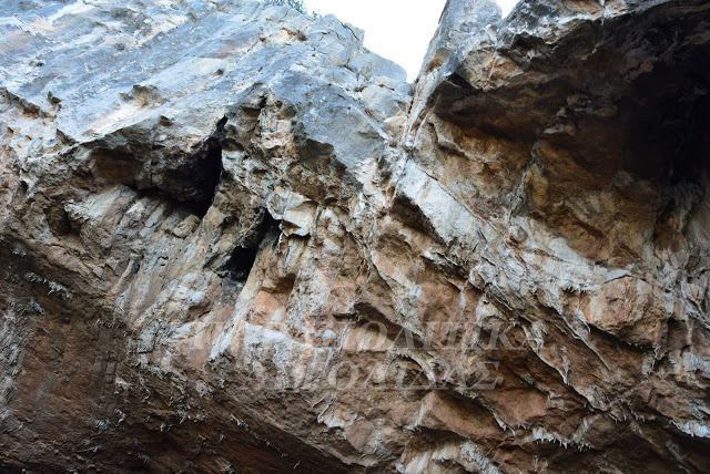 Κοιλάδα: Σπήλαιο Φράχθι [photos] - Φωτογραφία 22