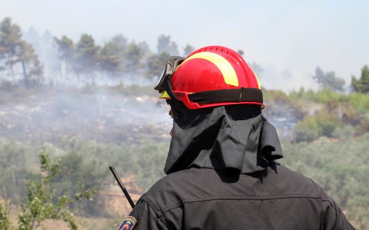 Πυρκαγιά στη Μεσσηνία -  Ισχυρές πυροσβεστικές δυνάμεις στο σημείο - Φωτογραφία 1