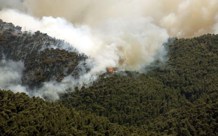 Πυρκαγιά σε δύσβατο σημείο στα Πηγάδια Ταϋγέτου κάνει στάχτη δασικές εκτάσεις - Φωτογραφία 1