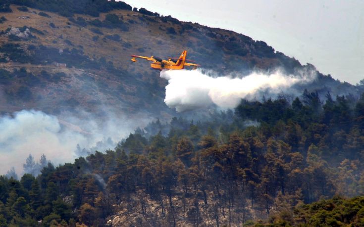 Πυρκαγιά σε δασική έκταση στo Κιλελέρ Λάρισας - Φωτογραφία 1