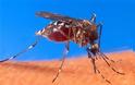 Πυρά υπαλλήλων Περιφερειών για τους ψεκασμούς κατά των κουνουπιών