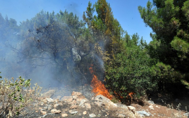Η πύρινη λαίλαπα κατάφερε να τυλίξει στις φλόγες περισσότερα από 20 στρέμματα στους Οθωνούς και στους Δουκάδες Κέρκυρας! - Φωτογραφία 1