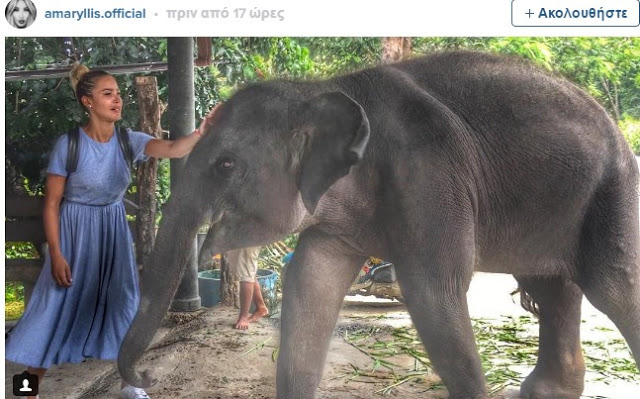 Αμαρυλλίς: Η συνάντηση με τον ελέφαντα και οι εντυπωσιακές φωτογραφίες από το ταξίδι της στην Ταϊλάνδη - Φωτογραφία 6