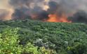 Κρήτη: Ολονύχτια η μάχη των πυροσβεστών κοντά στο Ελαφονήσι- Εστίες φωτιάς παραμένουν ακόμη ενεργές