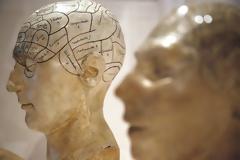 Μια νέα θεωρία εξηγεί την εξέλιξη της συνείδησης