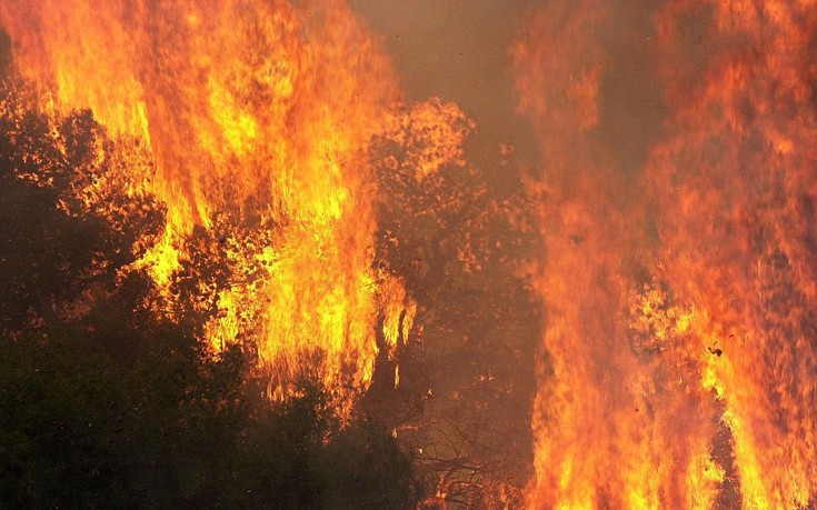 Μάχη με τις φλόγες δίνουν ισχυρές δυνάμεις της πυροσβεστικής στον Απρόπυργο - Φωτογραφία 1
