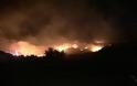 Ο πύρινος εφιάλτης επέστρεψε στη Χίο - Καρέ καρέ η στιγμή της εκκένωσης της Σιδηρούντας [video]