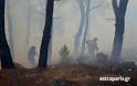 Μάχη με τις φλόγες δίνουν εναέριες και επίγειες πυροσβεστικές δυνάμεις στη βόρεια Χίο [video]