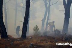 Μάχη με τις φλόγες δίνουν εναέριες και επίγειες πυροσβεστικές δυνάμεις στη βόρεια Χίο [video]
