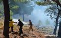 Μάχη με τις φλόγες δίνουν εναέριες και επίγειες πυροσβεστικές δυνάμεις στη βόρεια Χίο [video] - Φωτογραφία 3