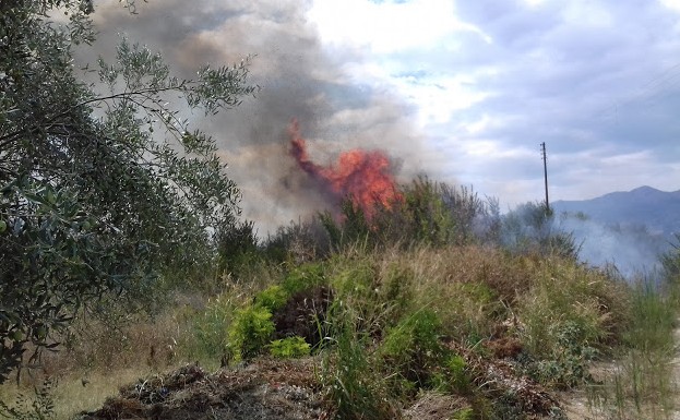 Πυρκαγιά απείλησε σπίτια στον Πετεινό Ξάνθης – Κινητοποιήθηκαν κάτοικοι και Πυροσβεστική - Φωτογραφία 1