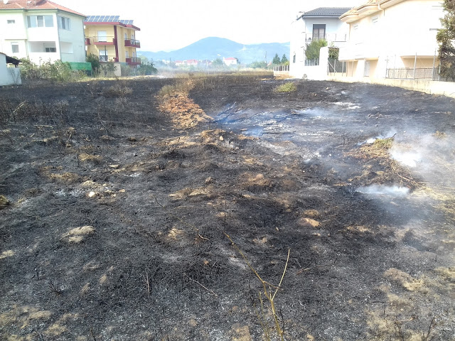 Πυρκαγιά απείλησε σπίτια στον Πετεινό Ξάνθης – Κινητοποιήθηκαν κάτοικοι και Πυροσβεστική - Φωτογραφία 4
