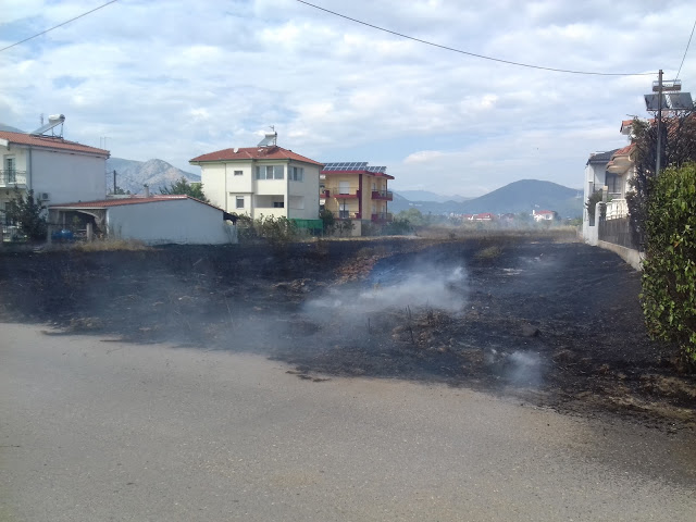 Πυρκαγιά απείλησε σπίτια στον Πετεινό Ξάνθης – Κινητοποιήθηκαν κάτοικοι και Πυροσβεστική - Φωτογραφία 5