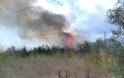 Πυρκαγιά απείλησε σπίτια στον Πετεινό Ξάνθης – Κινητοποιήθηκαν κάτοικοι και Πυροσβεστική - Φωτογραφία 2
