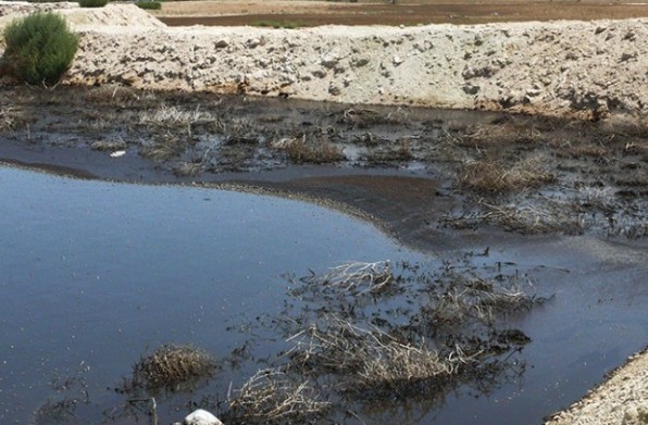 Κύπρος: Καταγγελία Οικολόγων για συνέχιση ρύπανσης στον Οβκό ποταμό - Φωτογραφία 1