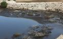 Κύπρος: Καταγγελία Οικολόγων για συνέχιση ρύπανσης στον Οβκό ποταμό