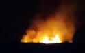 Πυρκαγιά σε καλαμιές στα Μάγγανα - Συναγερμός στην Πυροσβεστική Ξάνθης και αναζωπύρωση [photos] - Φωτογραφία 3