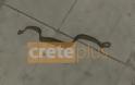 Ενα φίδι έκανε...βόλτα στη Χανιώπορτα - Αναστάτωση στο κέντρο του Ηρακλείου - Φωτογραφία 3