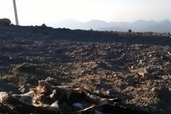 Γύπας βρήκε τραγικό θάνατο – Έπεσε σε ανεμογεννήτριες