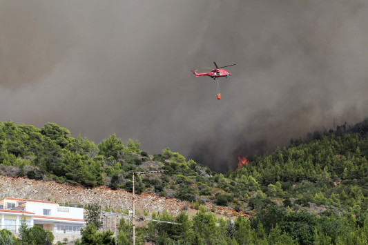 Εύβοια: Φωτιά τώρα στο Καστρί - Οι ισχυροί άνεμοι δεν βοηθούν στην κατάσβεση - Φωτογραφία 1