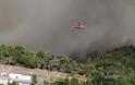 Εύβοια: Φωτιά τώρα στο Καστρί - Οι ισχυροί άνεμοι δεν βοηθούν στην κατάσβεση