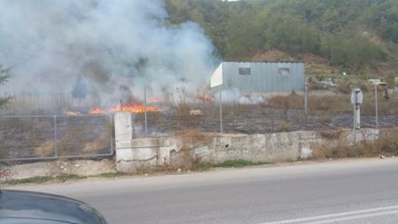 Πυρκαγιά στον Εχίνο Ξάνθης - Φωτογραφία 3