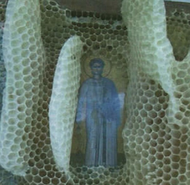 Ανατριχιαστικό: Μέλισσες δείχνουν σεβασμό στις χριστιανικές εικόνες - Φωτογραφία 2