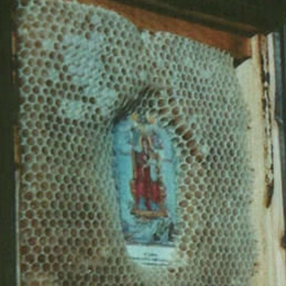 Ανατριχιαστικό: Μέλισσες δείχνουν σεβασμό στις χριστιανικές εικόνες - Φωτογραφία 3