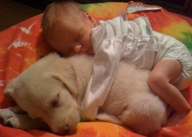 Όταν τα μωρά κάνουν παρέα με τους τετράποδους φίλους τους [photos] - Φωτογραφία 8