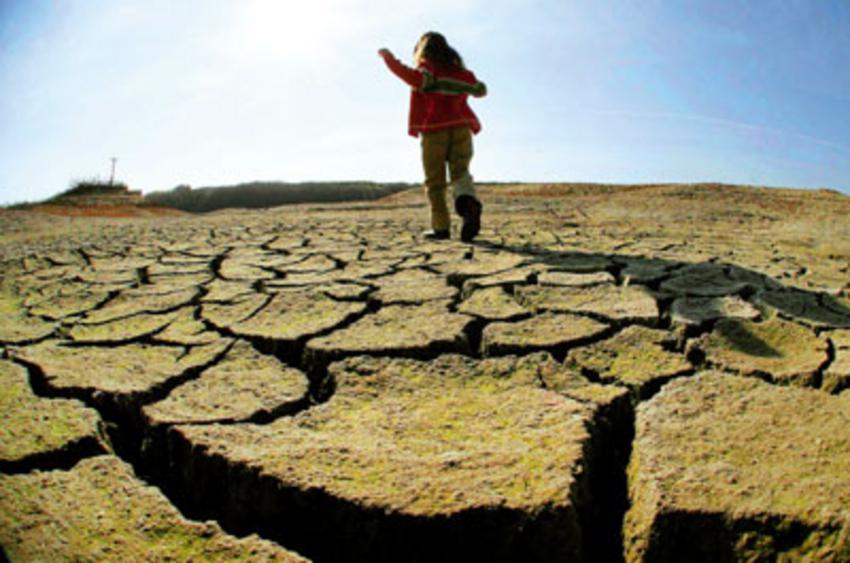 Κρήτη: Σε απελπιστική κατάσταση οι αγρότες της Κρήτης…λόγω ξηρασίας - Ανεπανόρθωτες ζημιές στις καλλιέργειες - Φωτογραφία 1