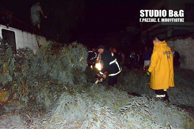 Δεκάδες δένδρα έπεσαν στην πόλη του Αργούς [photos] - Φωτογραφία 5