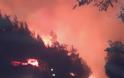 Φωτιά στη Θάσο: Ολονύχτια “μάχη” με τις φλόγες! Απειλούνται οικισμοί