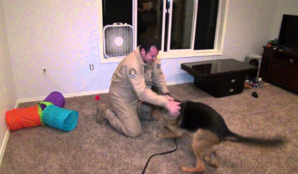 Θα δακρύσετε με την αντίδραση του σκύλου όταν συνάντησε ξανά τον ιδιοκτήτη του που έλειπε στο στρατό - Φωτογραφία 1