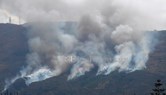 Μεγάλη πυρκαγιά στην Μαλάξα - Εμπρησμός με πολλές εστίες - Φωτογραφία 2