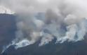 Μεγάλη πυρκαγιά στην Μαλάξα - Εμπρησμός με πολλές εστίες - Φωτογραφία 2