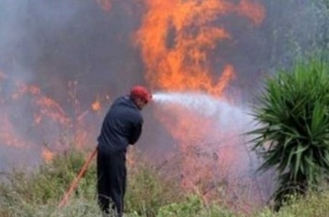 Υπό μερικό έλεγχο η φωτιά στα Χανιά – Δείτε πόσα στρέμματα κάηκαν - Φωτογραφία 1