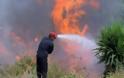 Υπό μερικό έλεγχο η φωτιά στα Χανιά – Δείτε πόσα στρέμματα κάηκαν