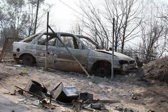 Νύχτα κόλαση με συνεχείς αναζωπυρώσεις στη Θάσο - Αποκαλυπτικές εικόνες από τη χειρότερη φωτιά των τελευταίων 30 χρόνων