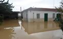 Σοκάρουν οι εικόνες από τα πλημμυρισμένα σπίτια των Τρικάλων - Φωτογραφία 7