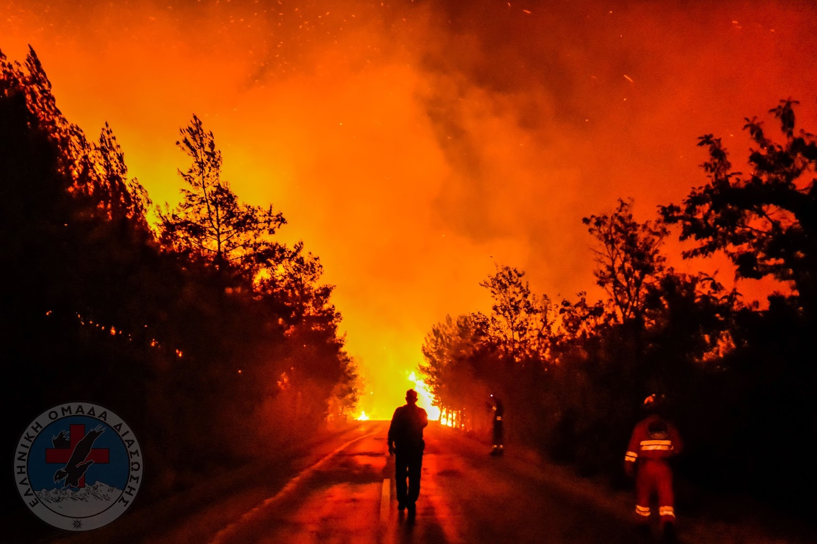 Η Ελληνική Ομάδα Διάσωσης στα μέτωπα της φωτιάς στη Θάσο [photo] - Φωτογραφία 1