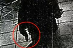 Στο μικροσκόπιο της Αστυνομίας η μυστηριώδης συνεργάτιδα της Ρούπα – Σε ποιες ενέργειες την εντοπίζουν