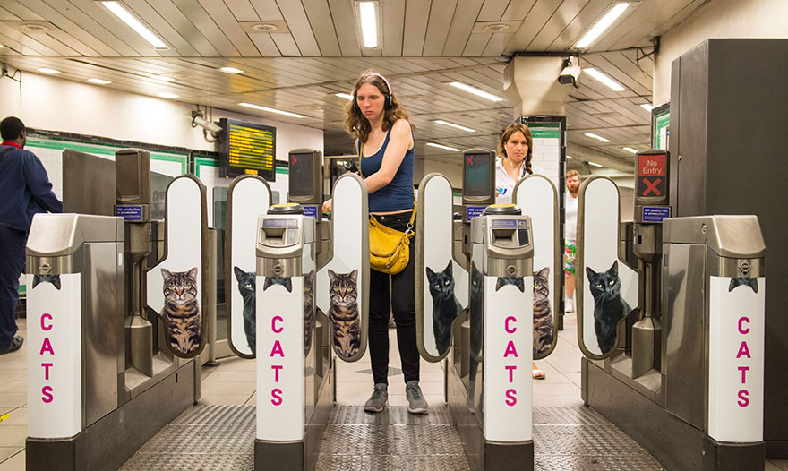 Όλες οι διαφημίσεις στο μετρό του Λονδίνου έχουν αντικατασταθεί από εικόνες με γάτες [photos] - Φωτογραφία 4