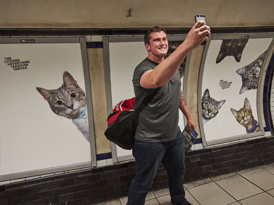 Όλες οι διαφημίσεις στο μετρό του Λονδίνου έχουν αντικατασταθεί από εικόνες με γάτες [photos] - Φωτογραφία 9