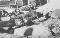Η Βέρμαχτ εκτελεί χιλιάδες Ιταλούς στην Κεφαλονιά! Η τραγωδία του 1943 σε βίντεο