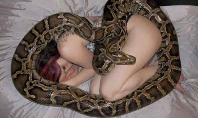 Αυτή η γυναίκα κοιμόταν κάθε βράδυ αγκαλιά με το κατοικίδιο φίδι της ώσπου έμαθε τη ΦΡΙΧΤΗ αλήθεια! - Φωτογραφία 1