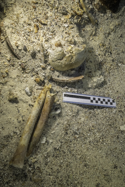 Βρέθηκε ανθρώπινο κρανίο και οστά στο Ναυάγιο των Αντικυθήρων - Φωτογραφία 3