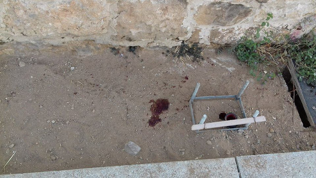 Μάνδρα Ξάνθης: Πυροβόλησε με καραμπίνα τον αδέσποτο σκύλο - Φωτογραφία 2