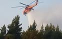 Κρήτη: Υπό μερικό έλεγχο η φωτιά στο Ρέθυμνο-Εκατοντάδες στρέμματα έγιναν στάχτη από την πύρινη λαίλαπα