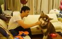 Ζάμπλουτος Κινέζος κάνει πανάκριβα δώρα στο σκύλο του - Φωτογραφία 4